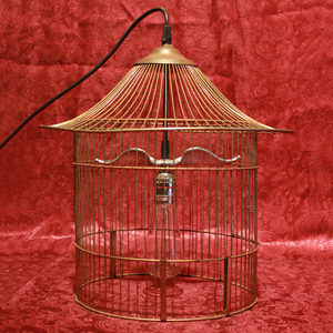Custom Bird Cage Lamp